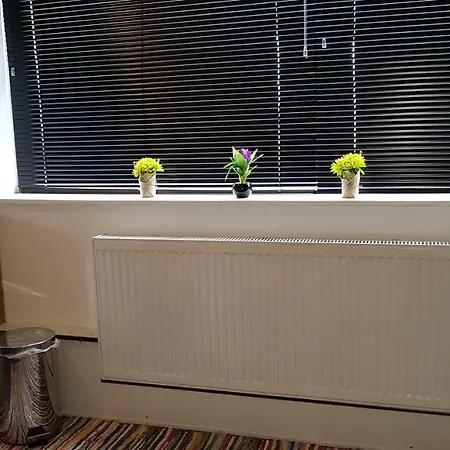 Apartment Gewoelbestudio