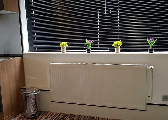 Apartment Gewölbestudio